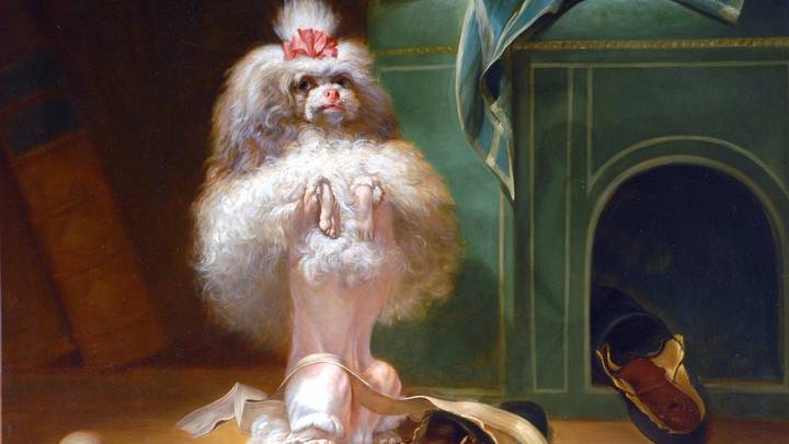 Jean-Jacques Bachelier, Dog of the Hanava Breed, 1768, oil on canvas, French School, © The Bowes Museum, Barnard Castle (1)